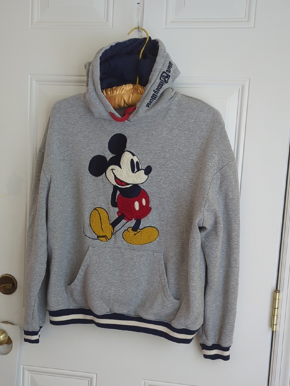 Walt Disney World Hoodie.